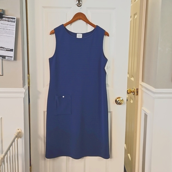 Papillon Blanc Dresses & Skirts - NWT Papillon Blanc Blue Shift Dress, sz Xl
